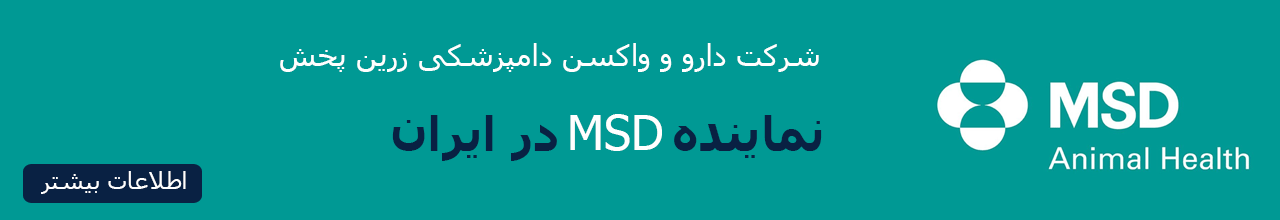 نماینده MSD در ایران