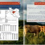واکسن تب برفکی آریا