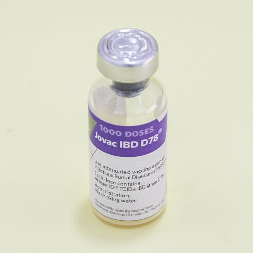 واکسن زنده لئوفیلیزه بیماری گامبورو